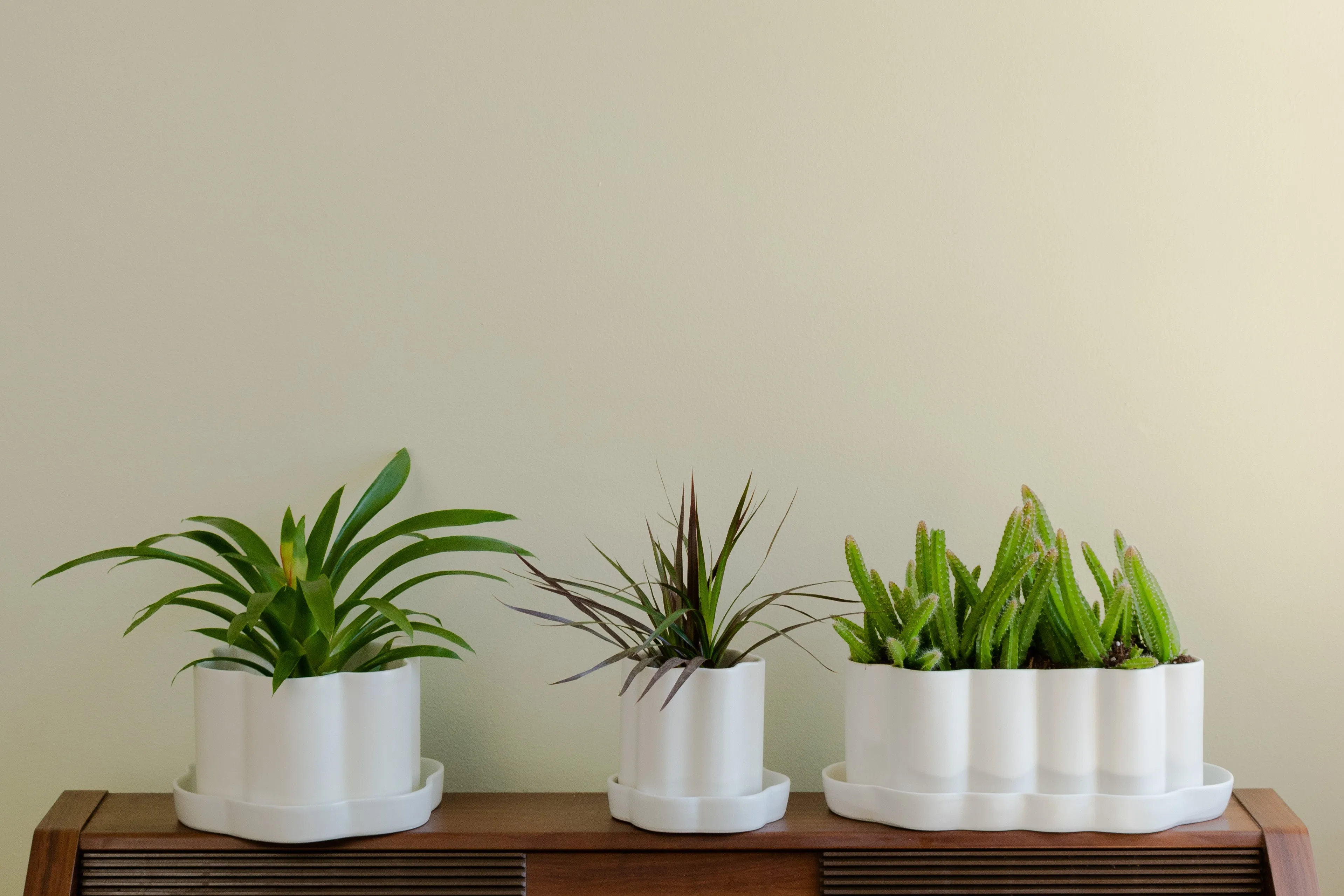 8" Fossil Planters