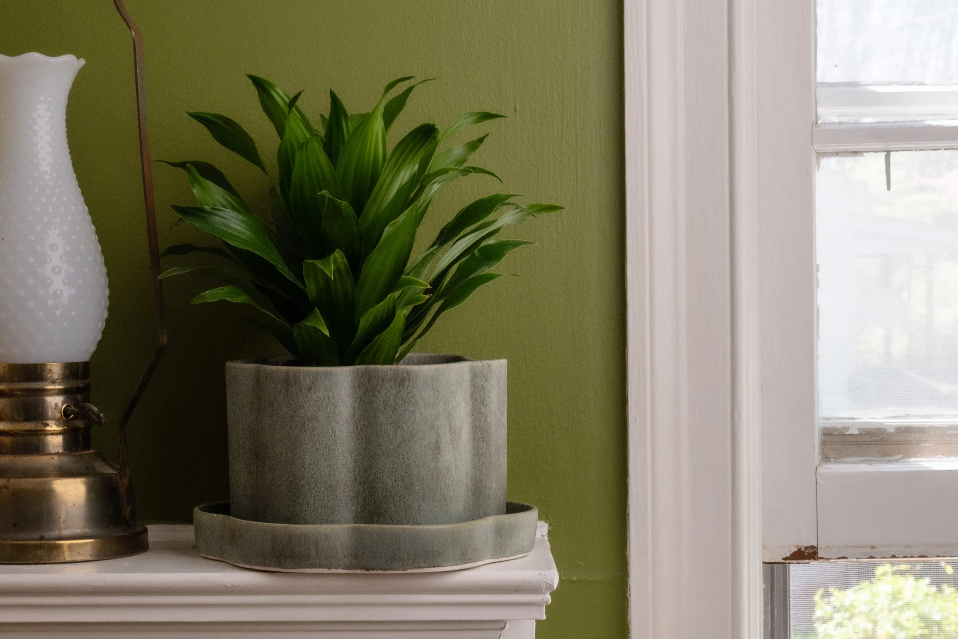 8" Fossil Planters