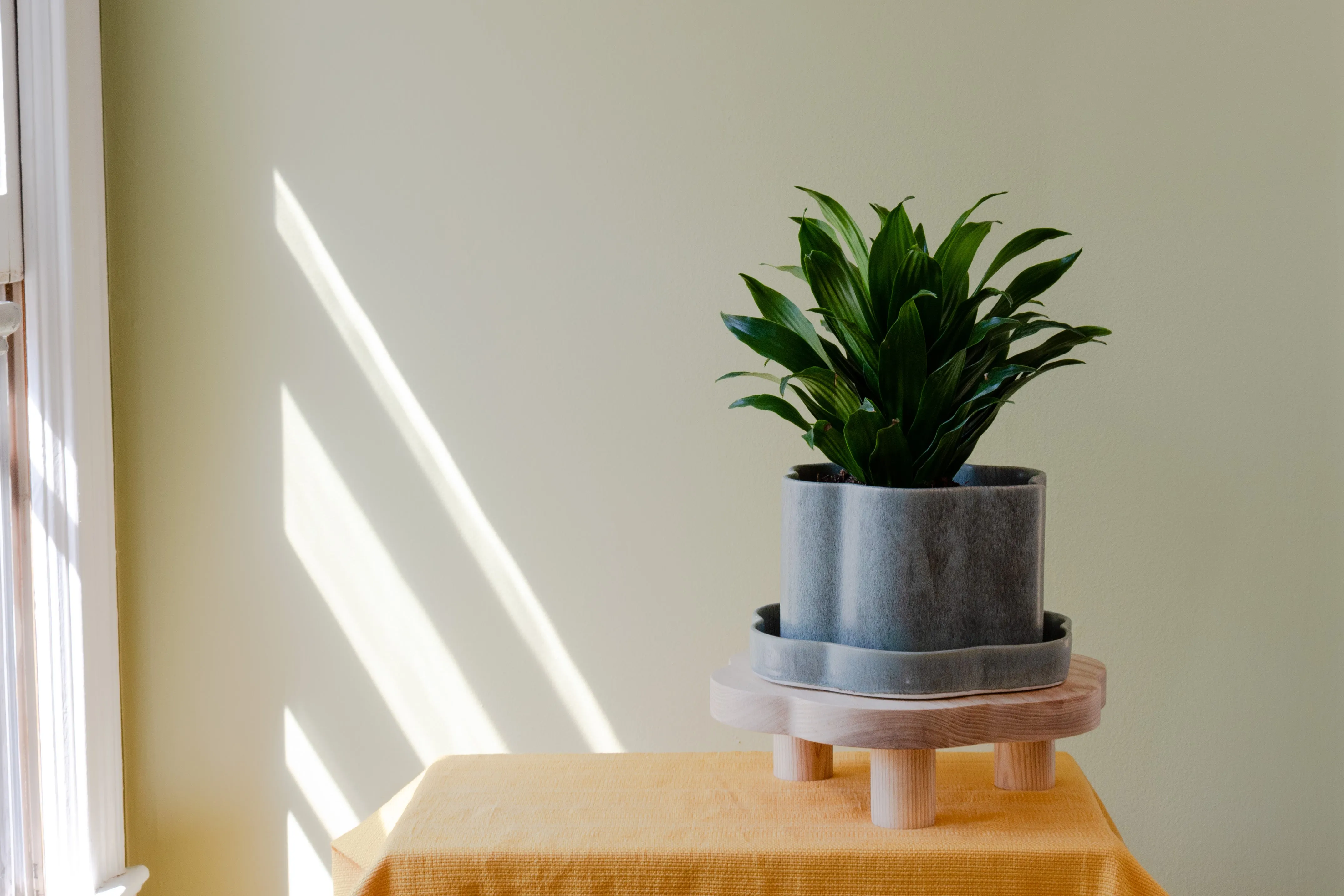 8" Fossil Planters