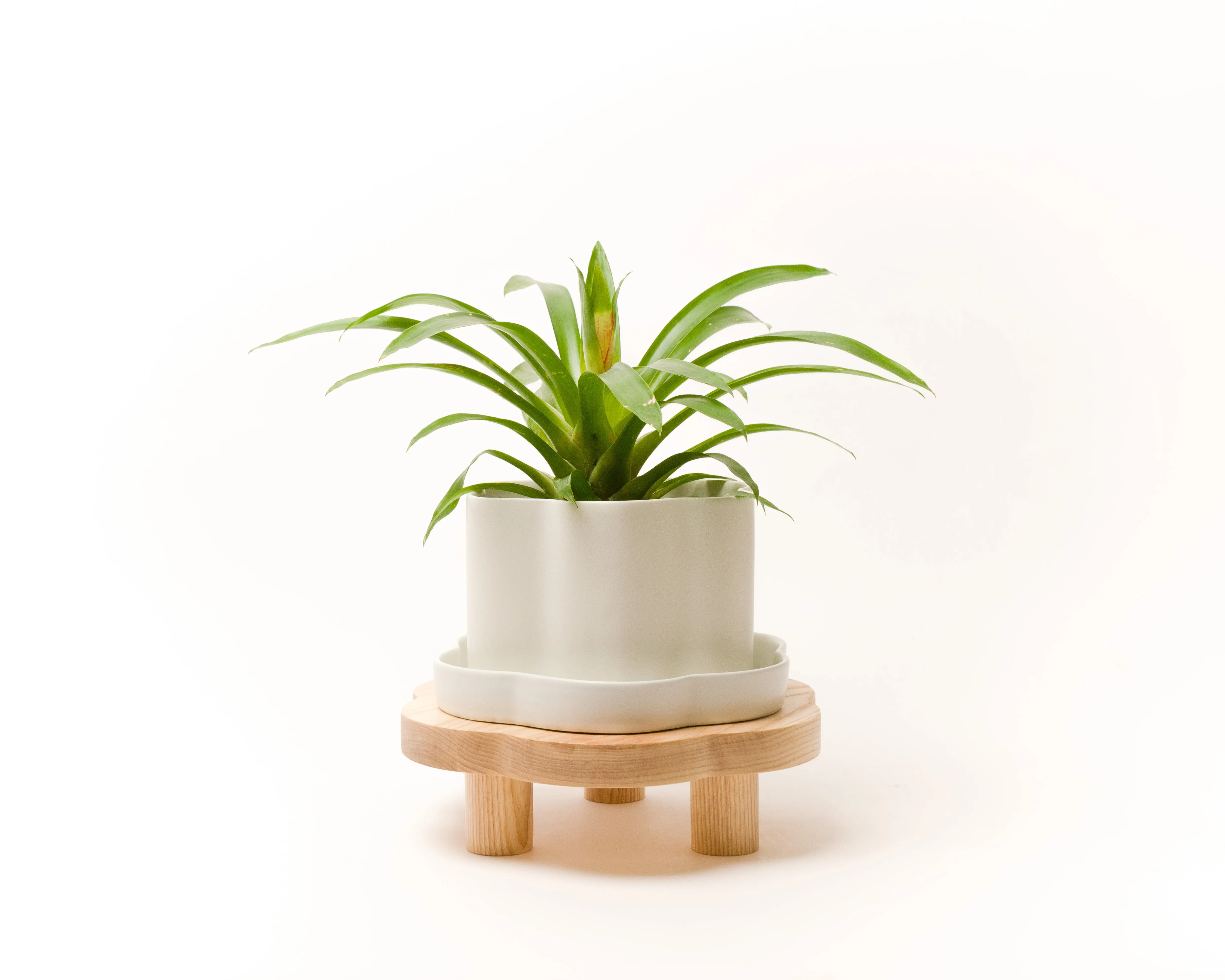 8" Fossil Planters