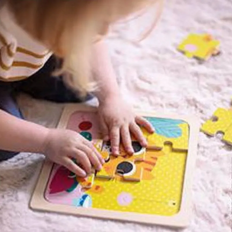 9 Piece Wooden Puzzle