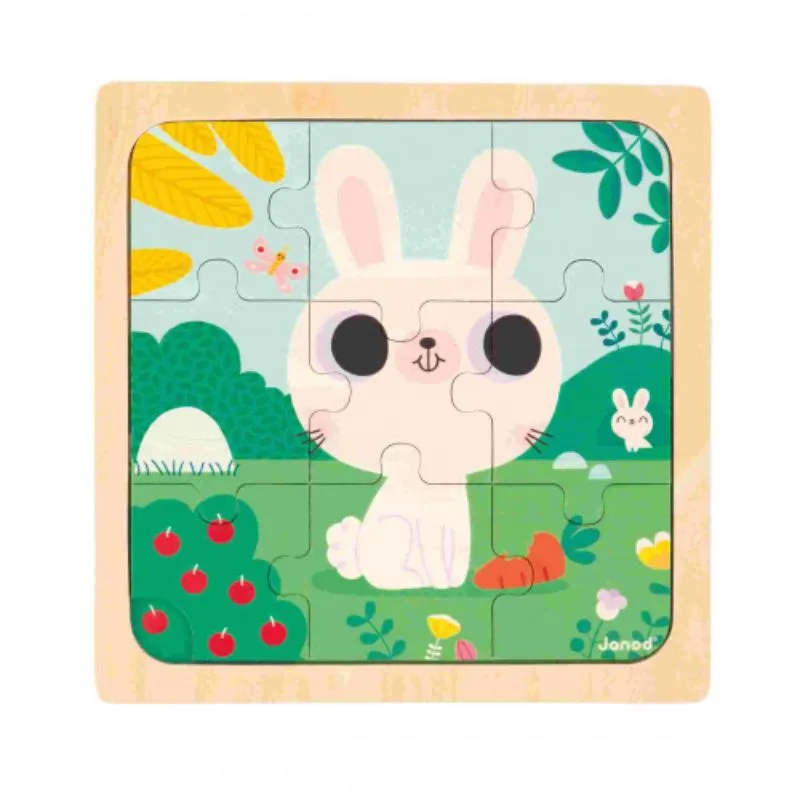 9 Piece Wooden Puzzle