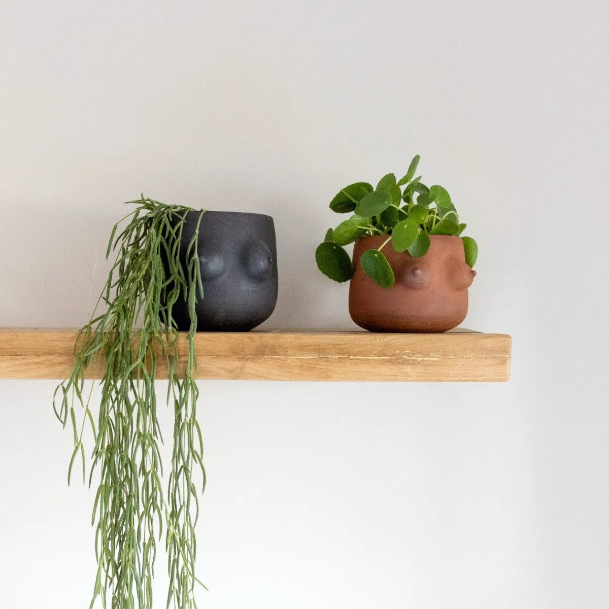 Boob Planter - Terracotta