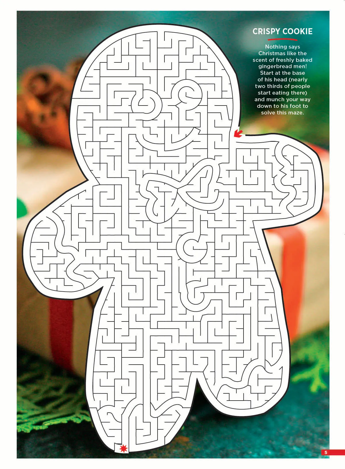 Brain Fun - Mazes: 48 Puzzles, All Skill Levels, Holiday Gingerbread Cookies, Christmas Snowmen, Twisty Paths, Avoid Traps, Dead-End Techniques, Pencil Tricks, Solving Tips & Solutions Inside!