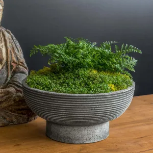 Campania International Calistoga Bowl