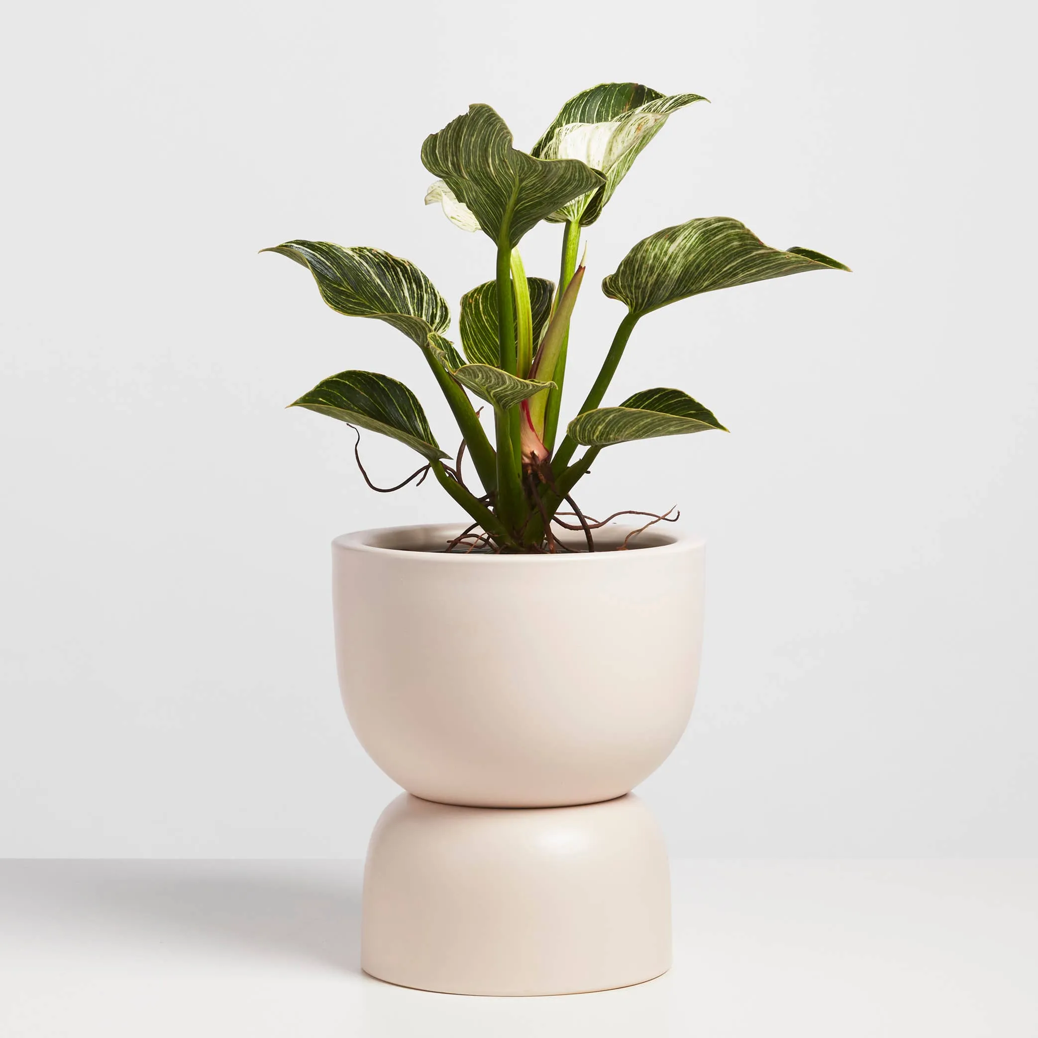 Ceramic Hourglass Planter - 12"