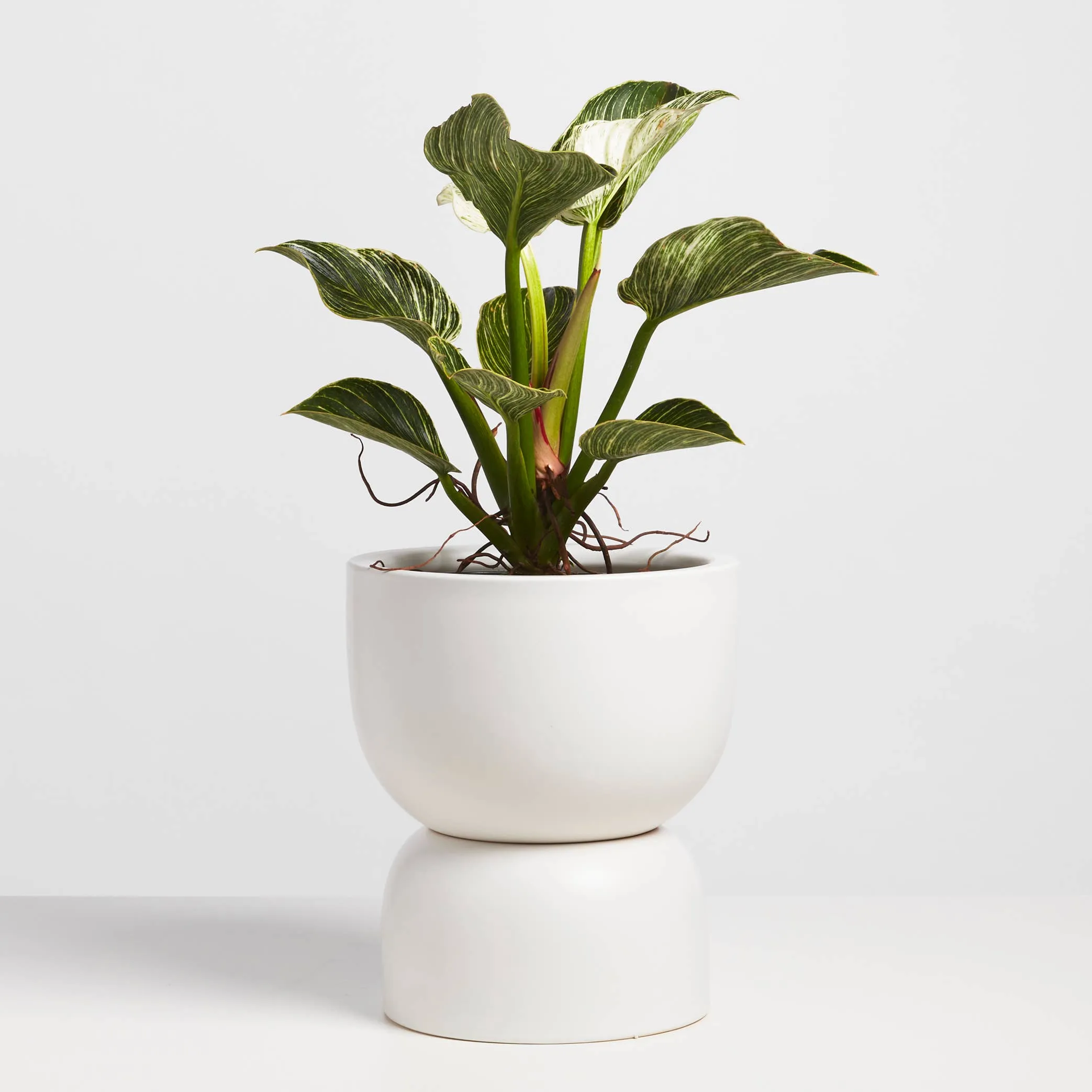 Ceramic Hourglass Planter - 12"