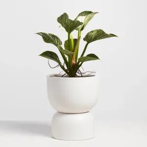 Ceramic Hourglass Planter - 12"