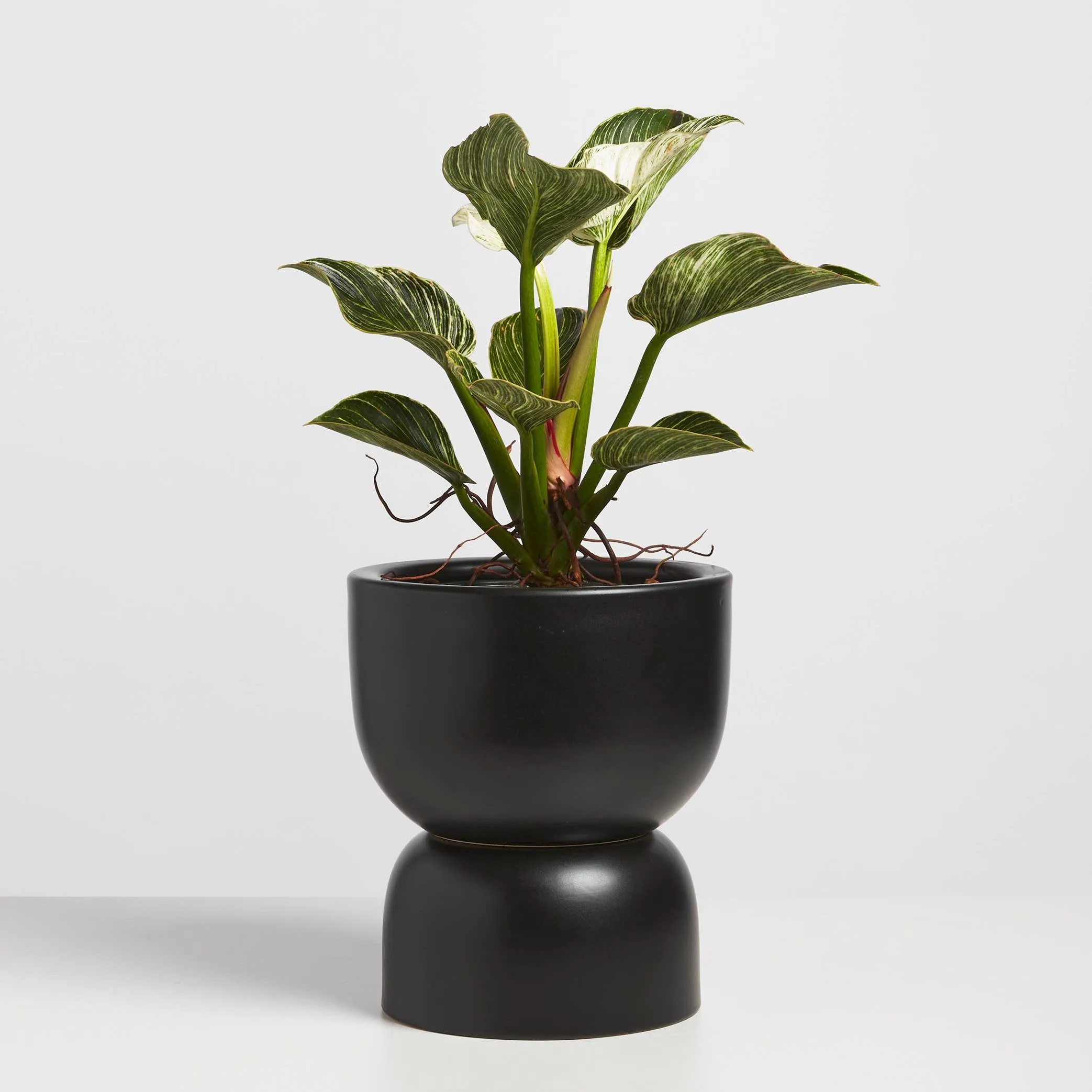 Ceramic Hourglass Planter - 12"