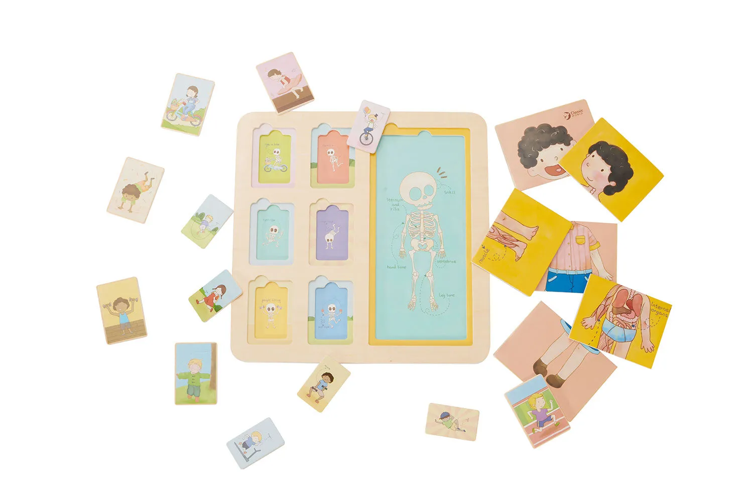 Classic World - Body Puzzle