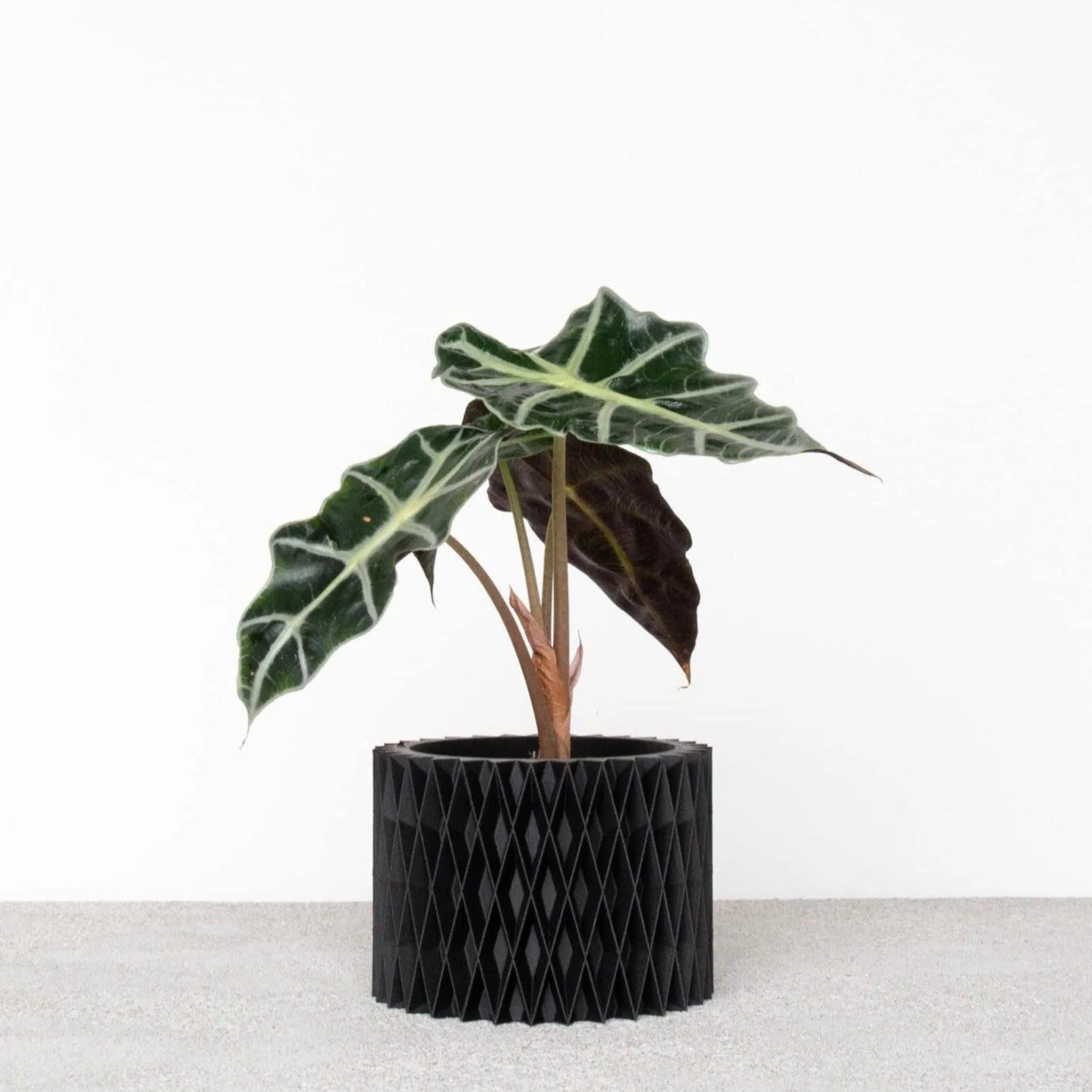 CROIX Indoor Planter