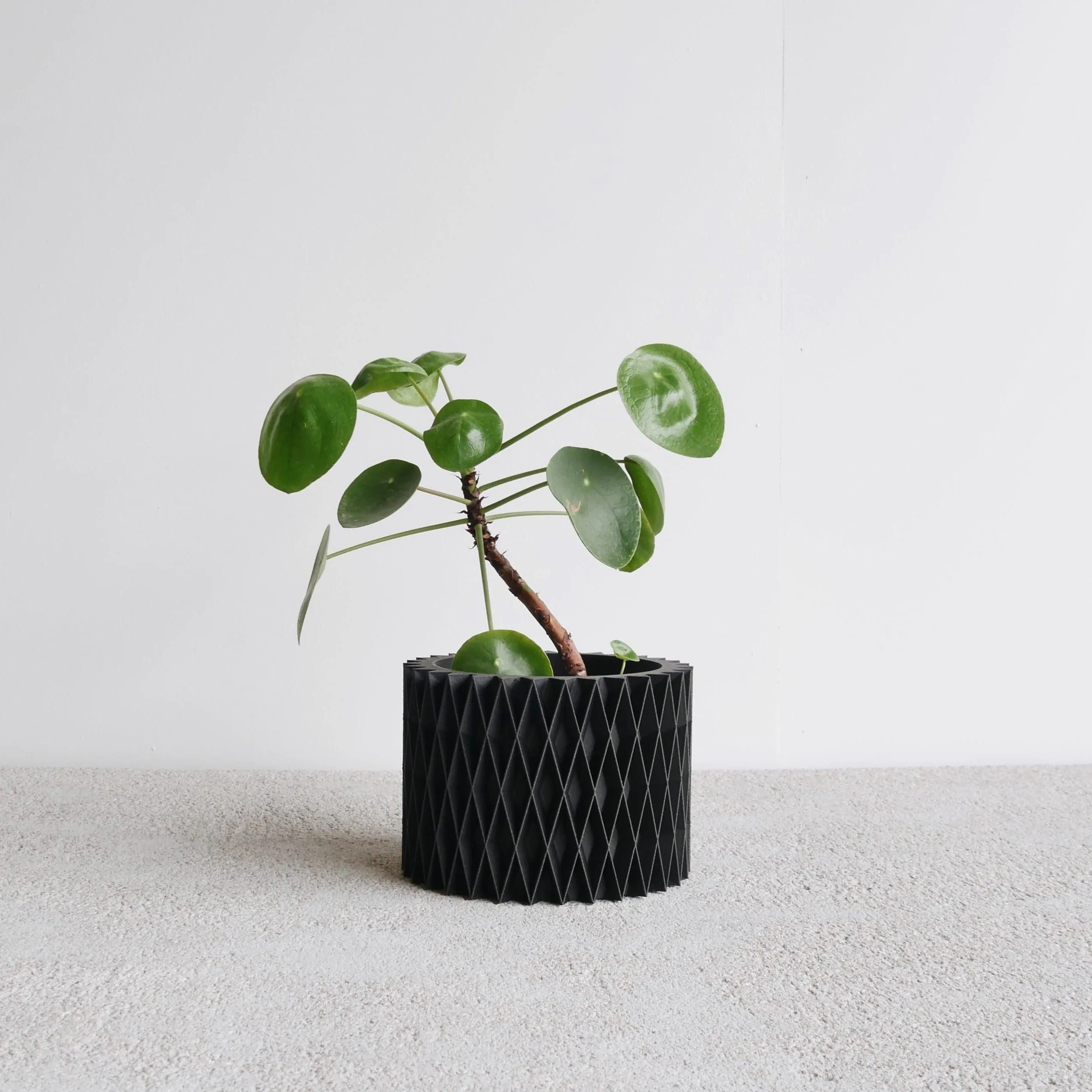 CROIX Indoor Planter