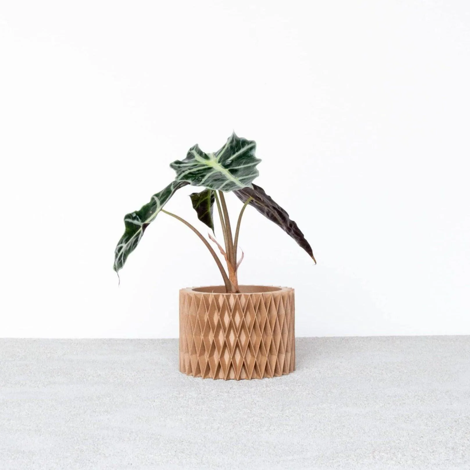 CROIX Indoor Planter