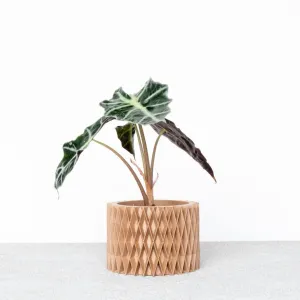 CROIX Indoor Planter