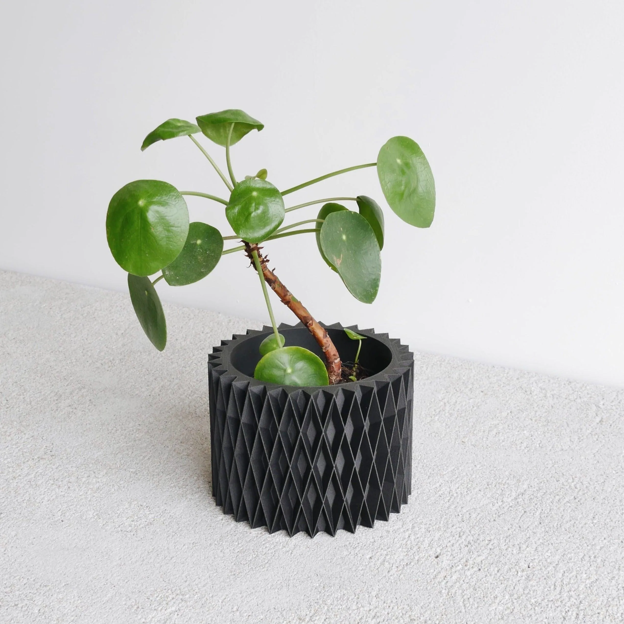 CROIX Indoor Planter