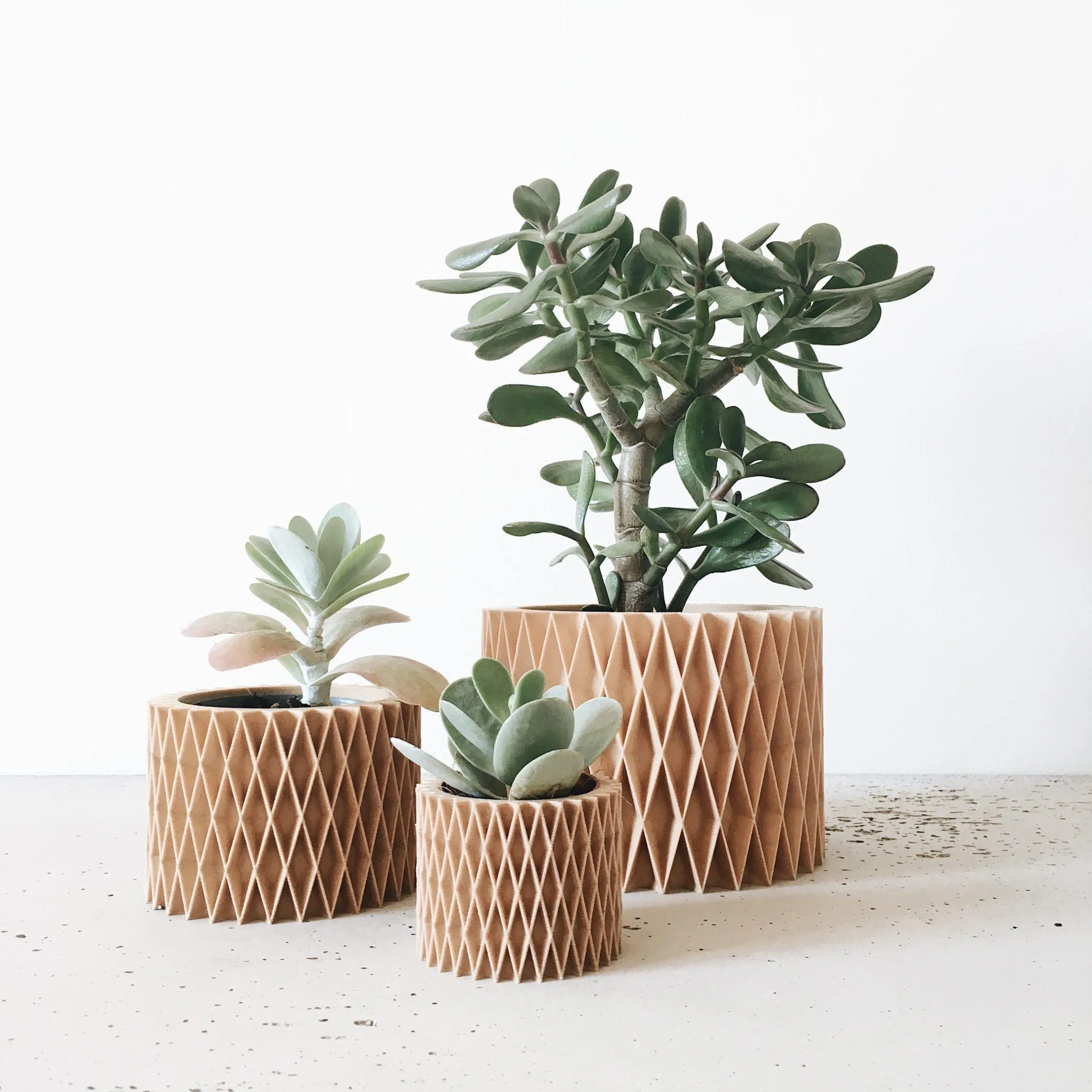 CROIX Indoor Planter