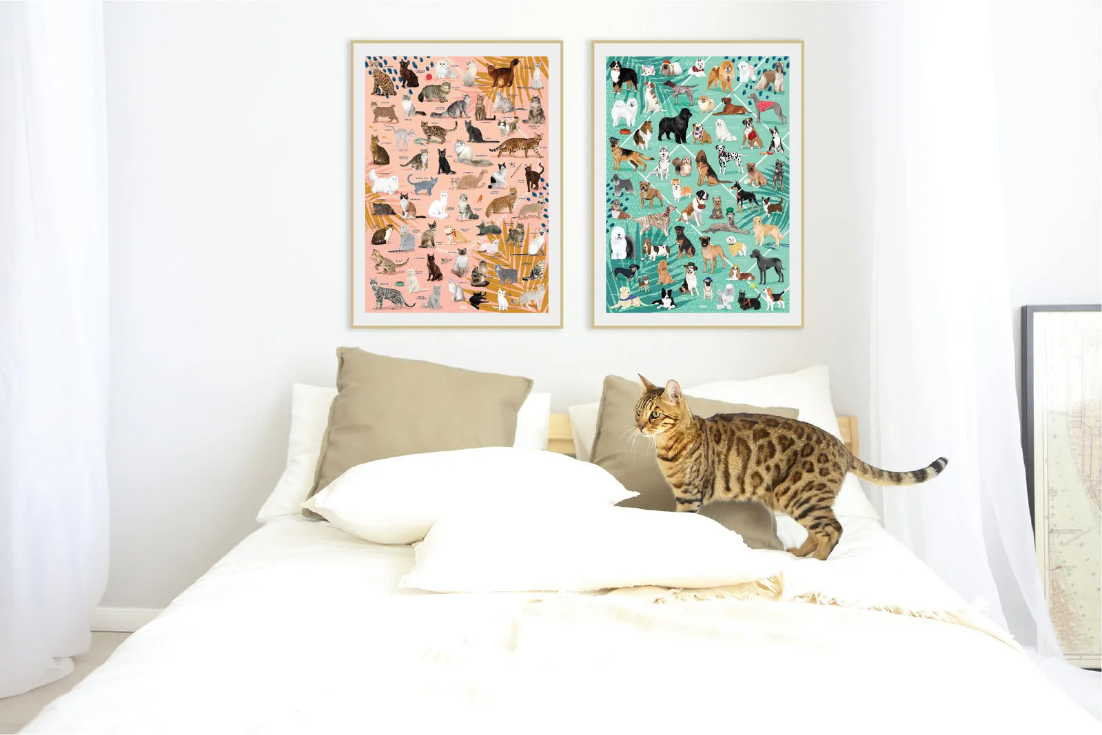 Curious Cats 1000pc Wall Puzzle