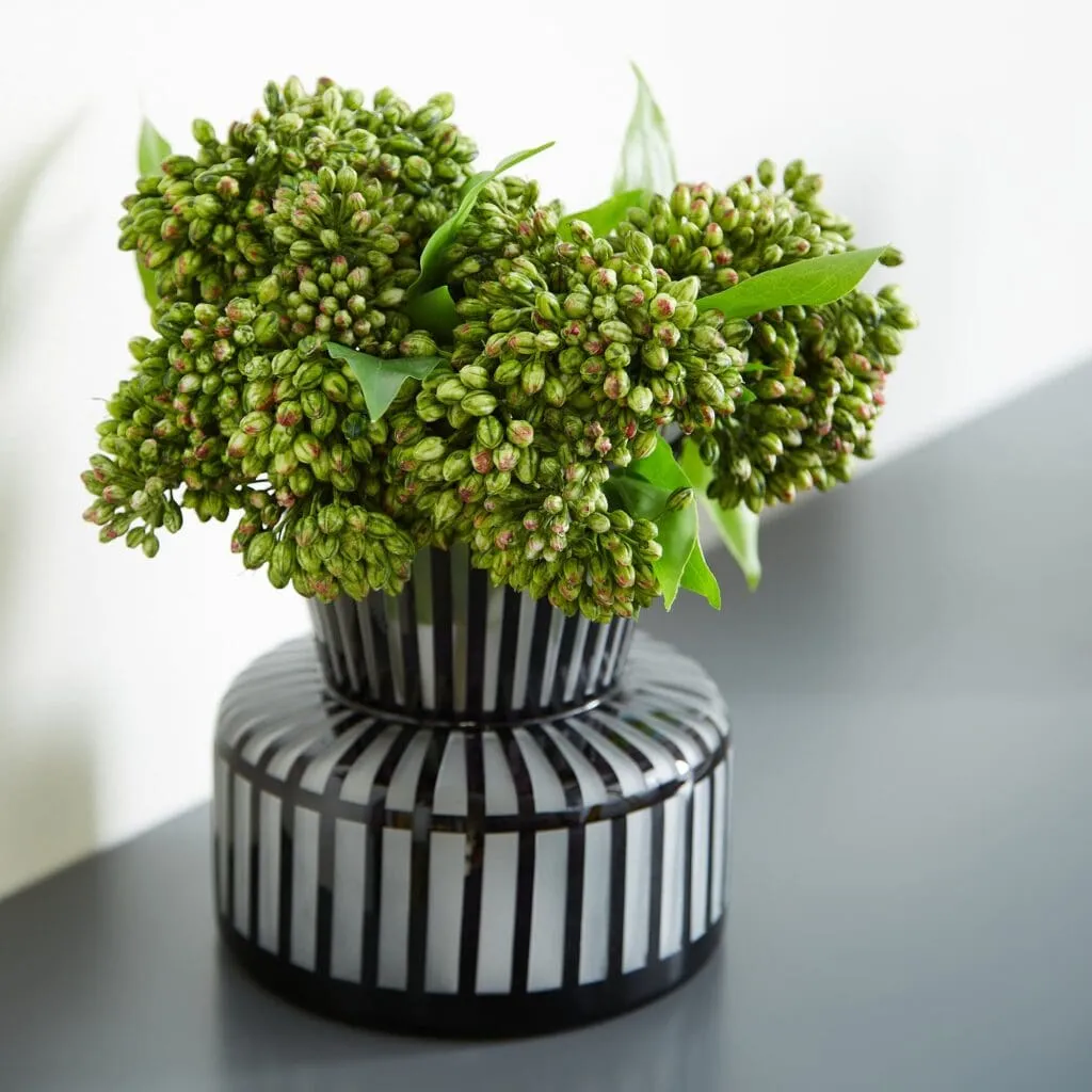 Cyan Design 10874 Lined Up Vase - Black - Small