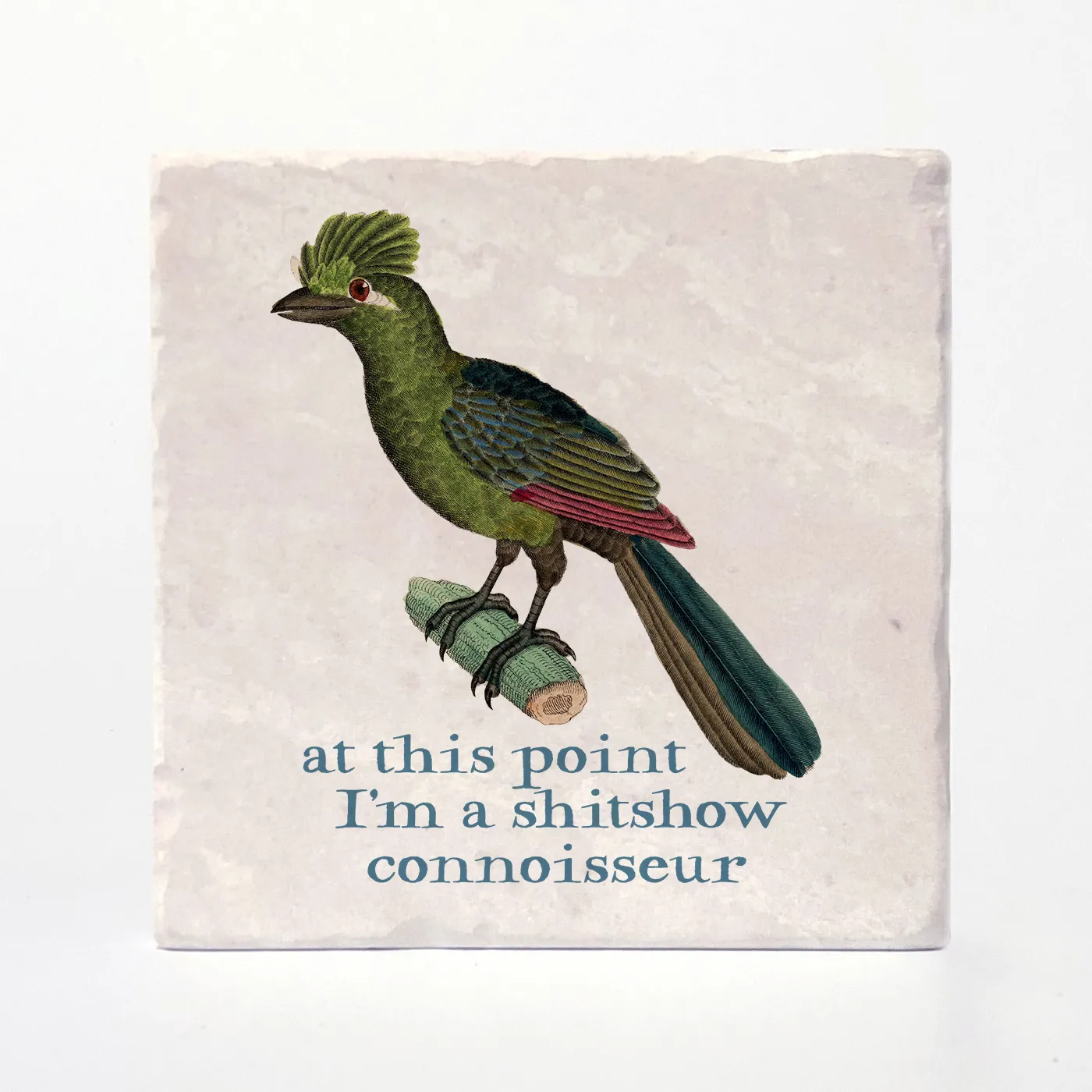 Effin' Birds Coaster- Shitshow Connoisseur