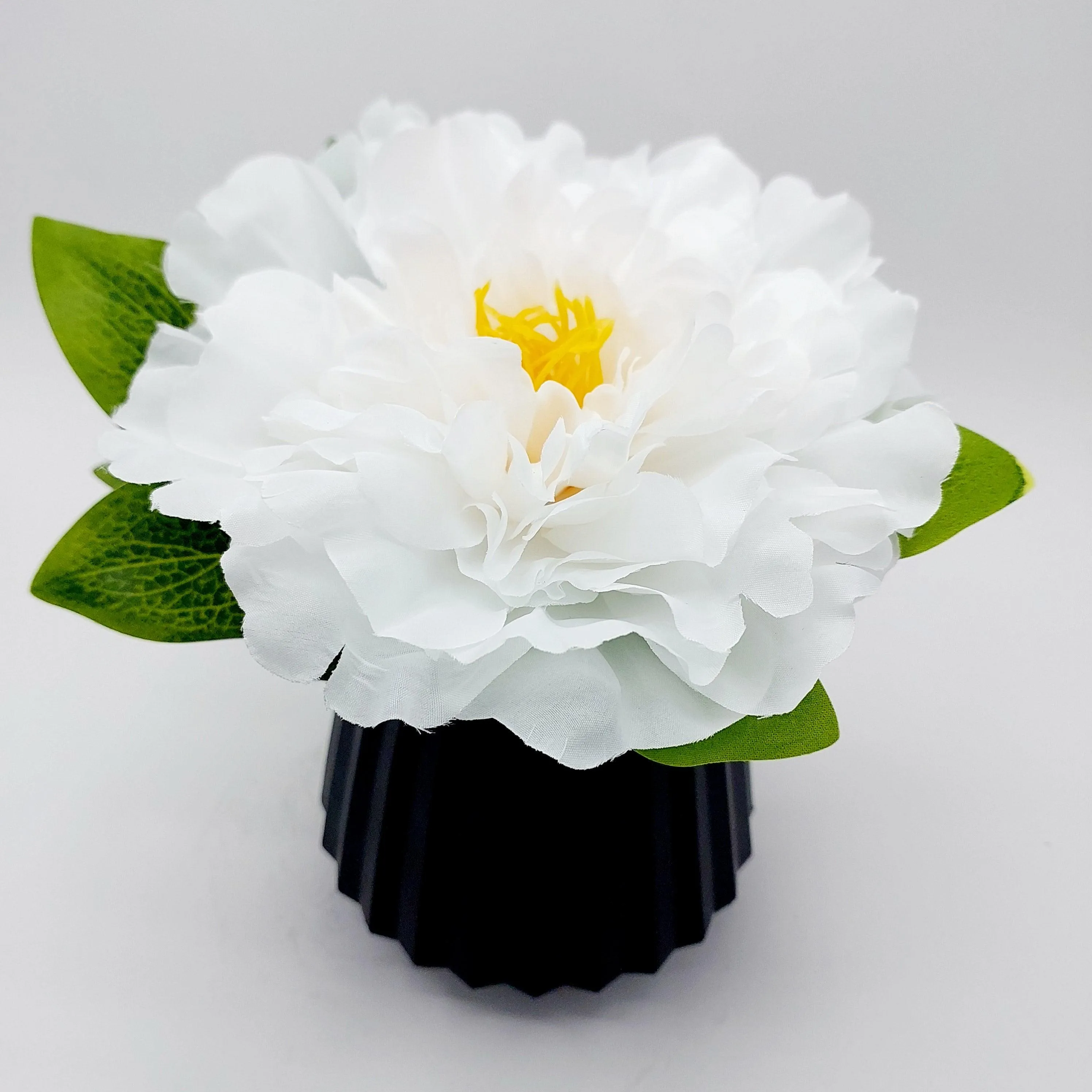 Flowers With Pots - Large White Mangolian - Black Pot