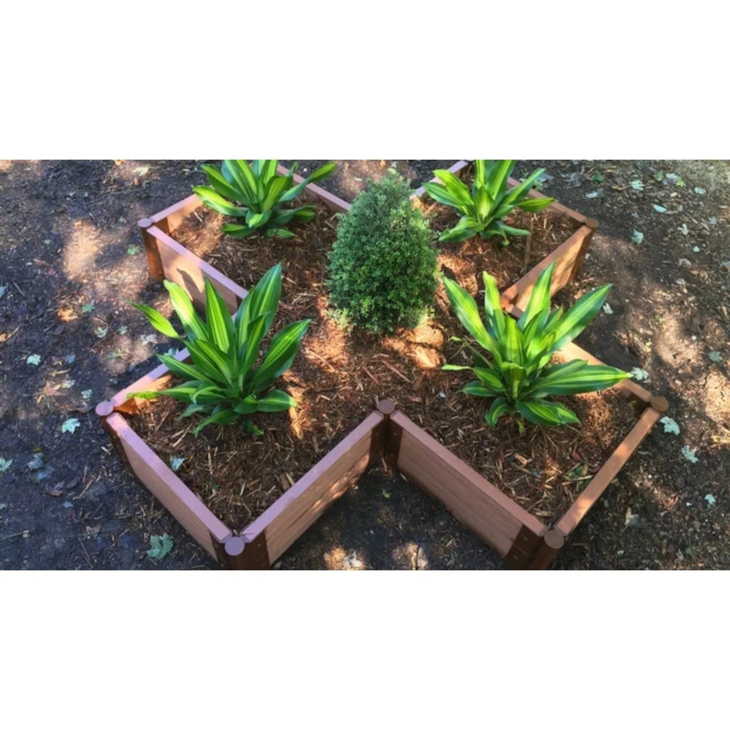 Frame It All | Tool-Free Military Medallion Raised Garden Bed (Kit Cross) 6' X 6' X 5.5" - Uptown Brown - 1" Profile
