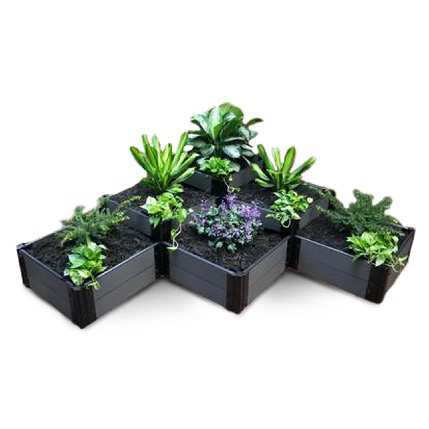 Frame It All | Tool-Free The Banaue Raised Garden Bed (Terraced) 6' X 6' Classic Sienna - 1" Profile