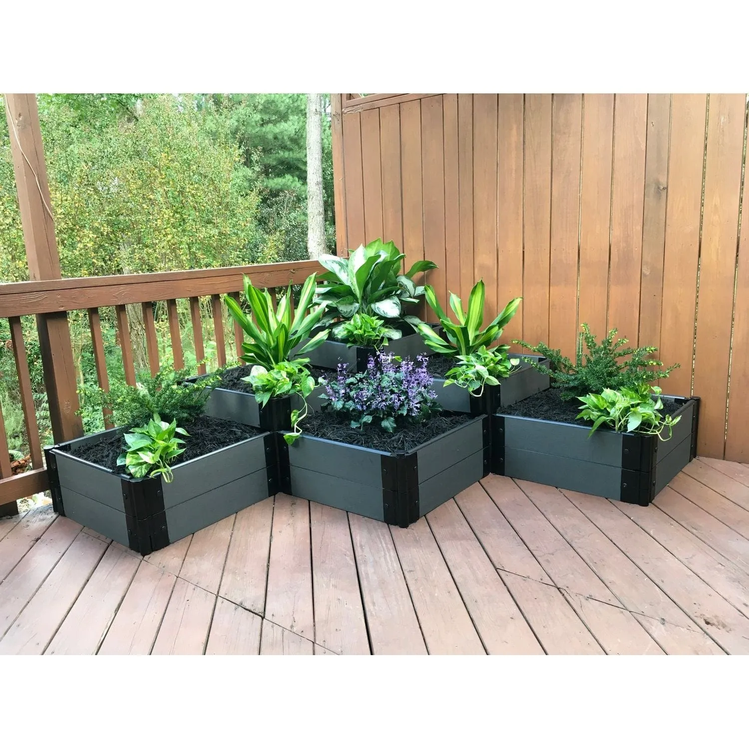 Frame It All | Tool-Free The Banaue Raised Garden Bed (Terraced) 6' X 6' Classic Sienna - 1" Profile