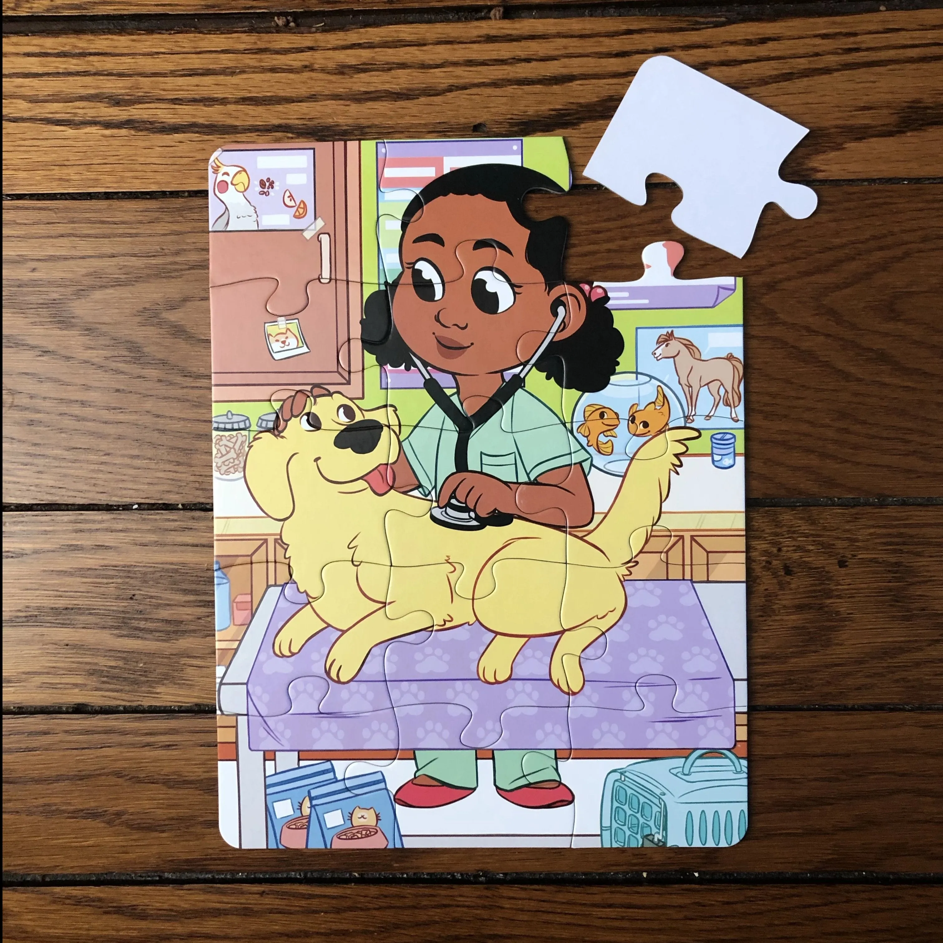 Future Veterinarian Puzzle (9in x 12in w/15 pieces)