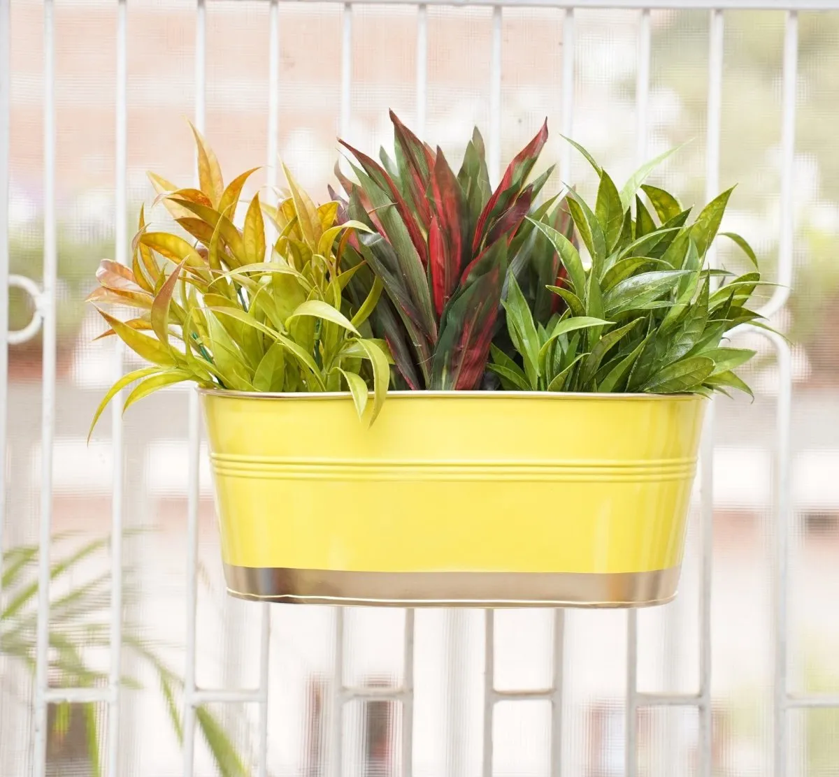 Hanging Pots For Plants Balcony Railing (Yellow - Pack4)