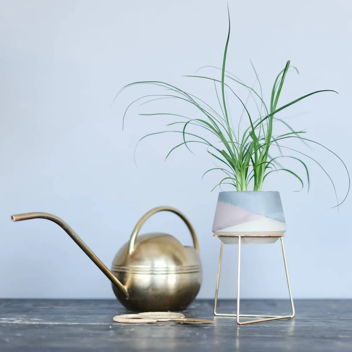 Harper Modern Concrete Planter - Midnight Blue 3 Inch