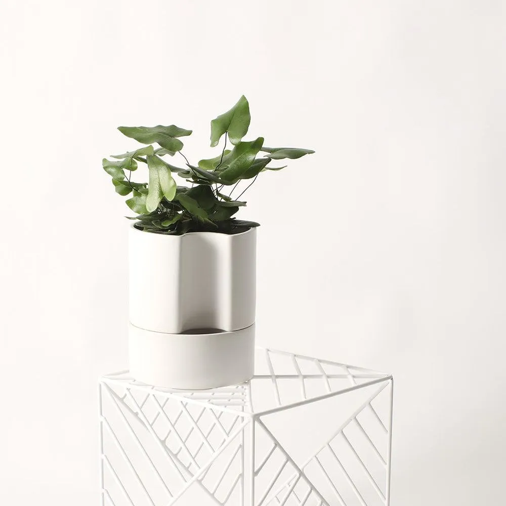 Jett Self-Watering Pot | White (Small)
