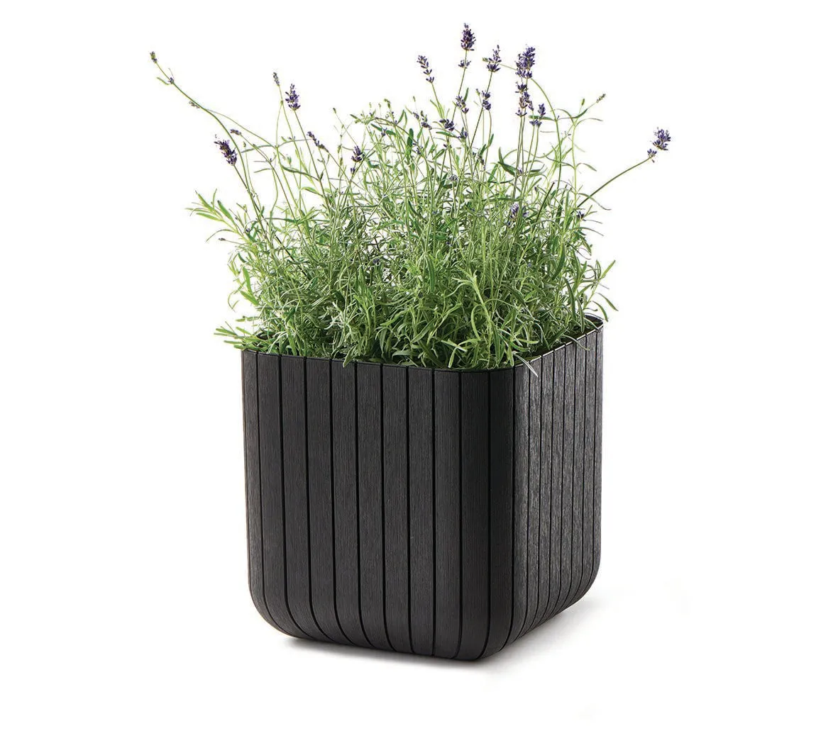 Keter Cube Planter - Brown