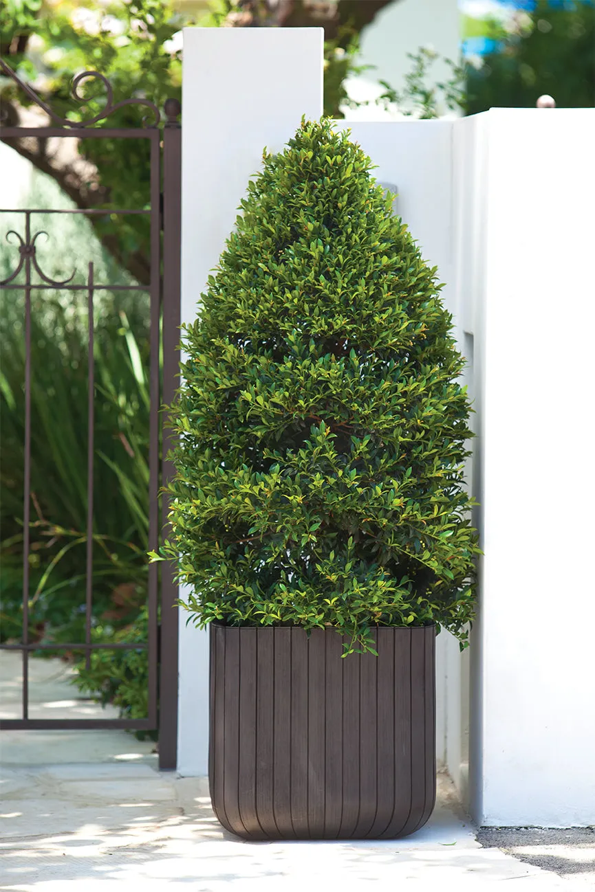 Keter Cube Planter - Brown