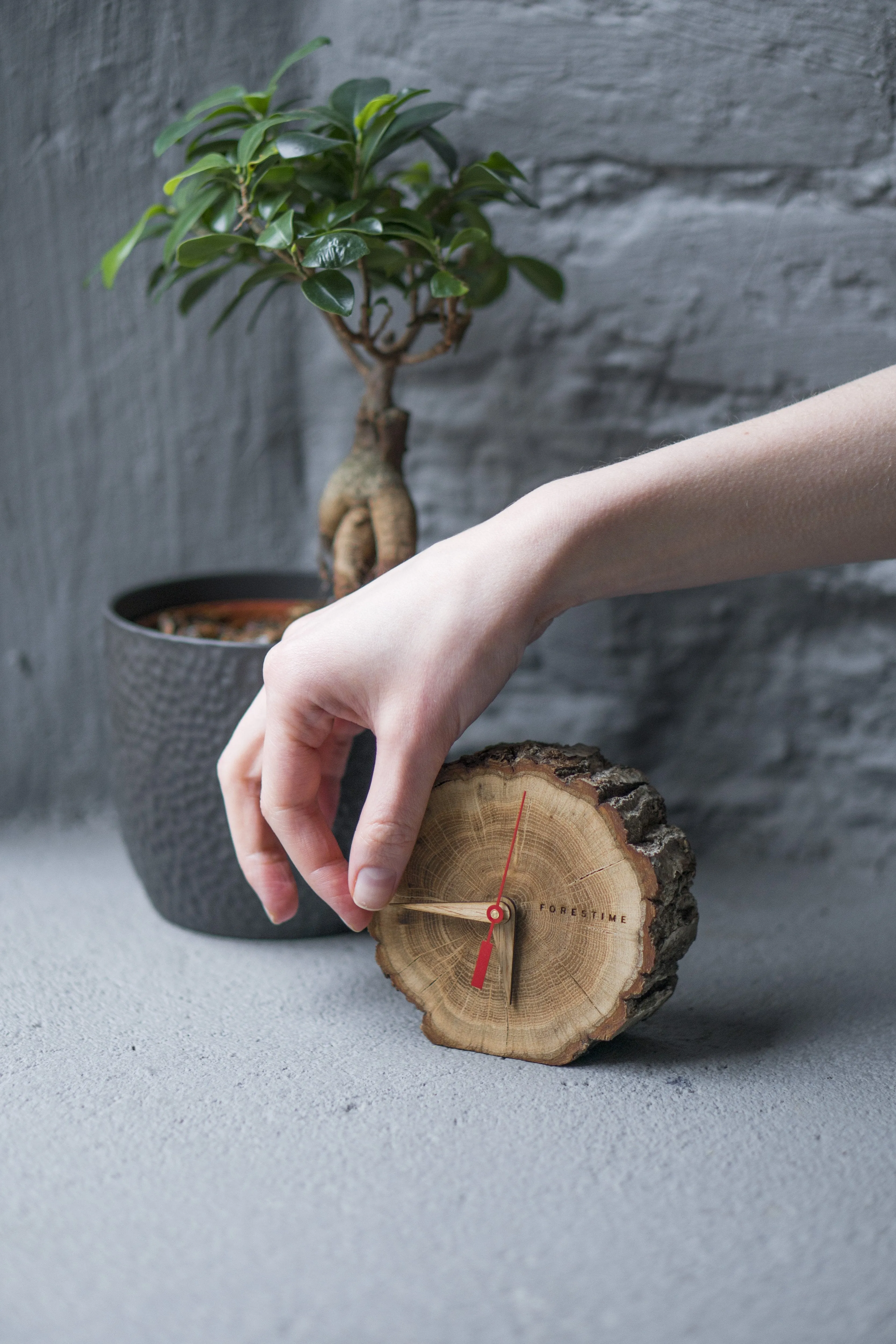 Laika Oak Slice Table Clock