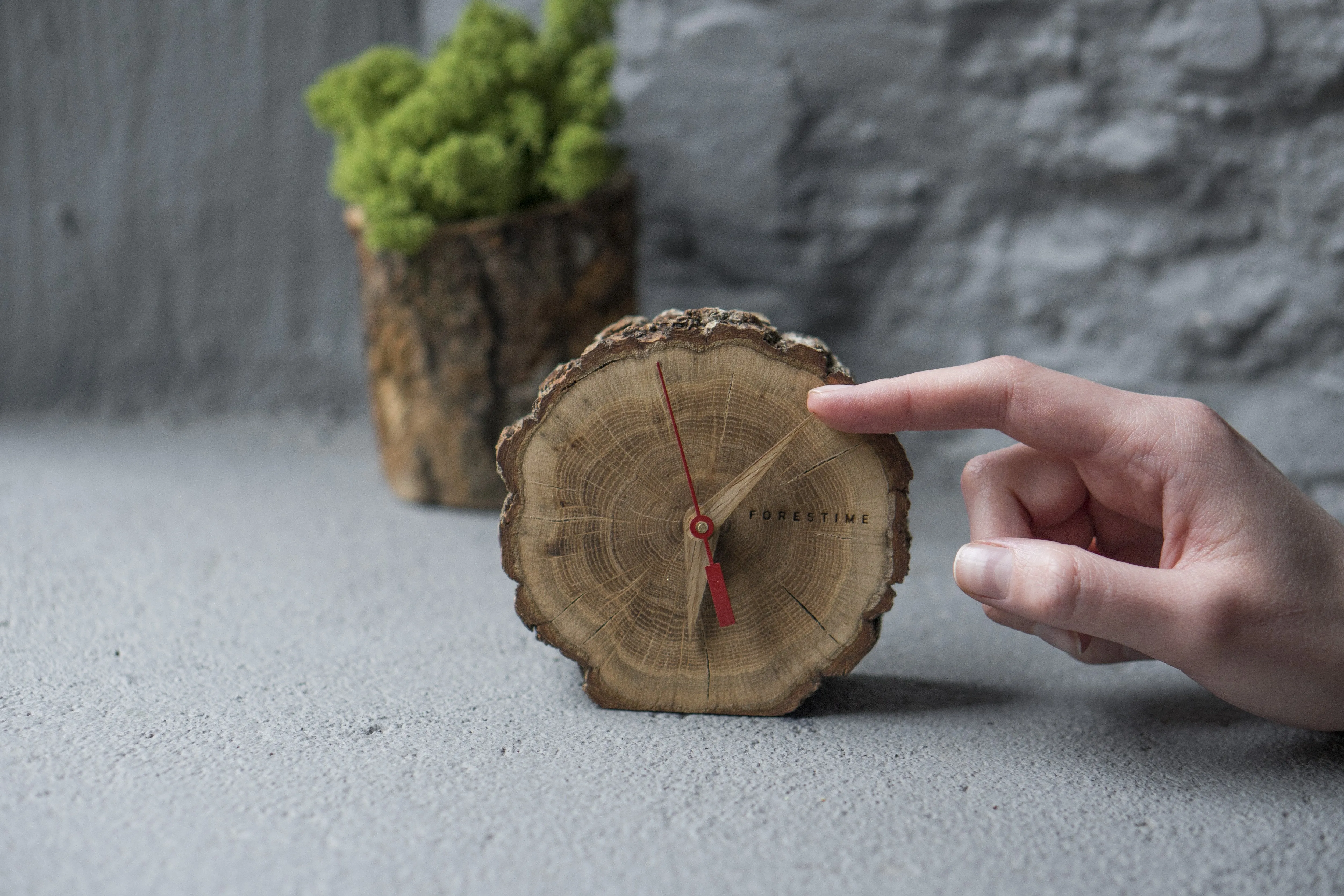 Laika Oak Slice Table Clock