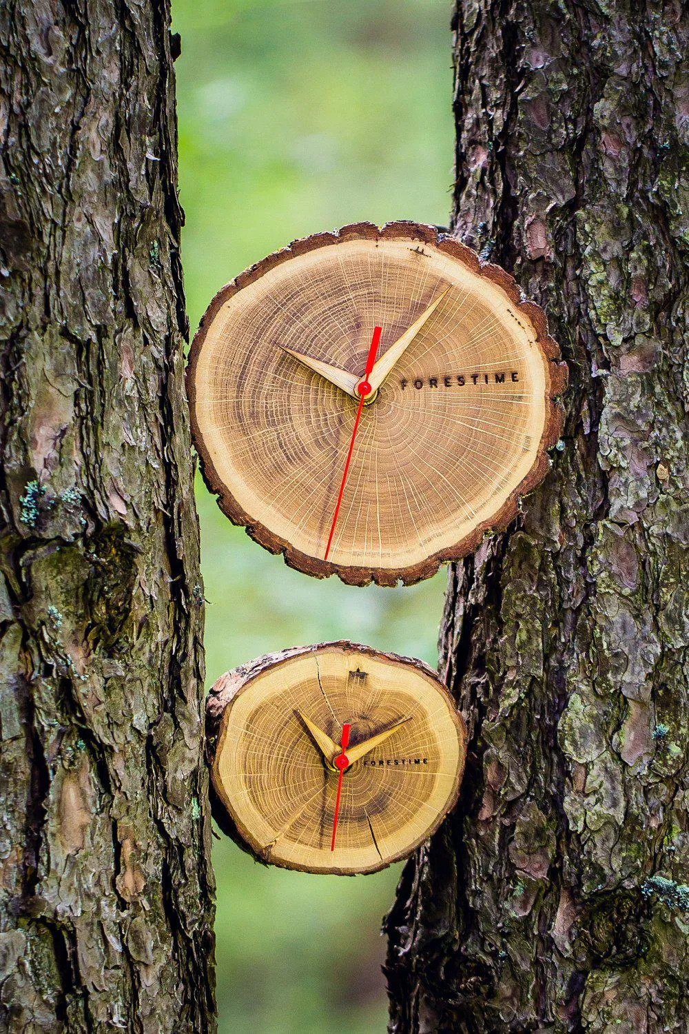 Laika Oak Slice Table Clock