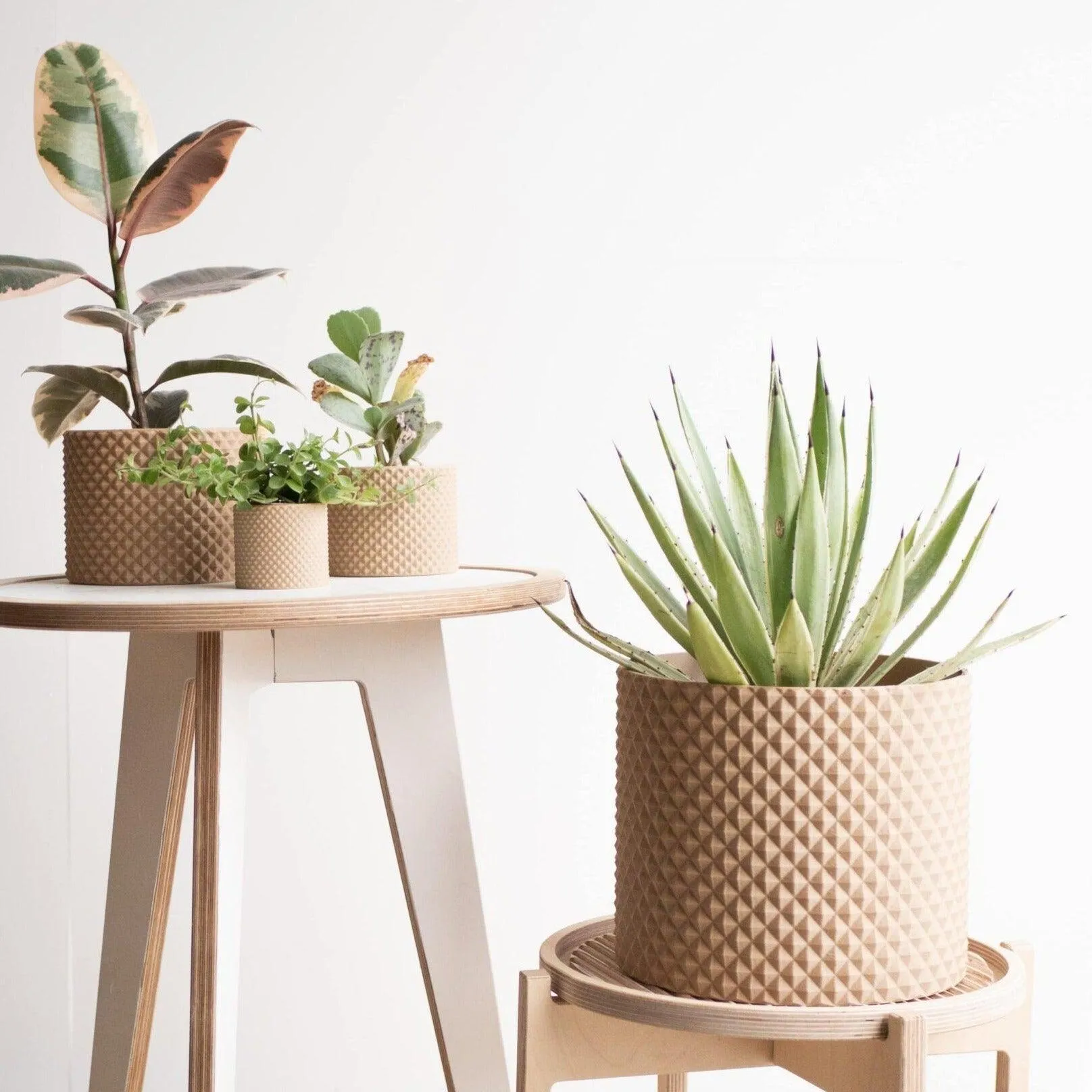 Large Indoor Planter PIKO