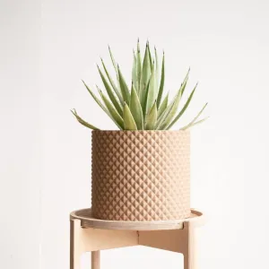 Large Indoor Planter PIKO