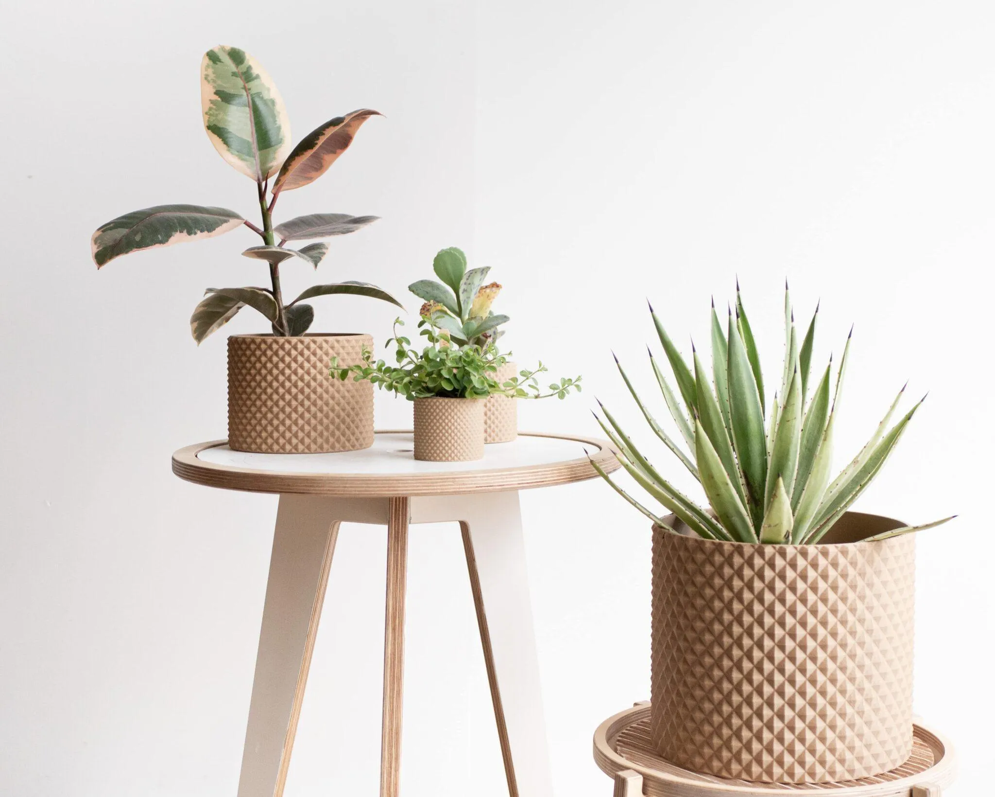 Large Indoor Planter PIKO