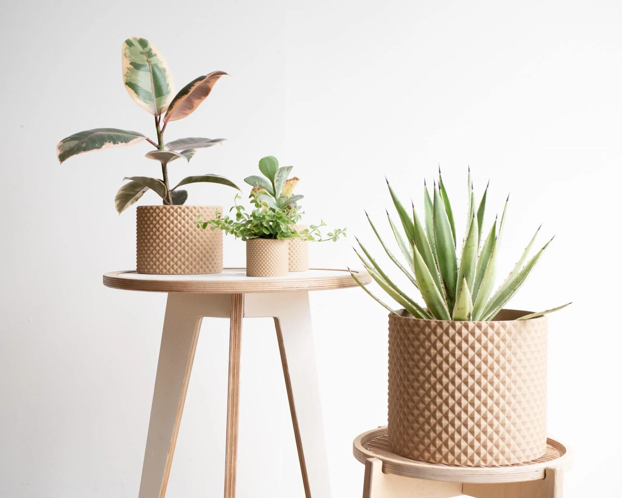 Large Indoor Planter PIKO