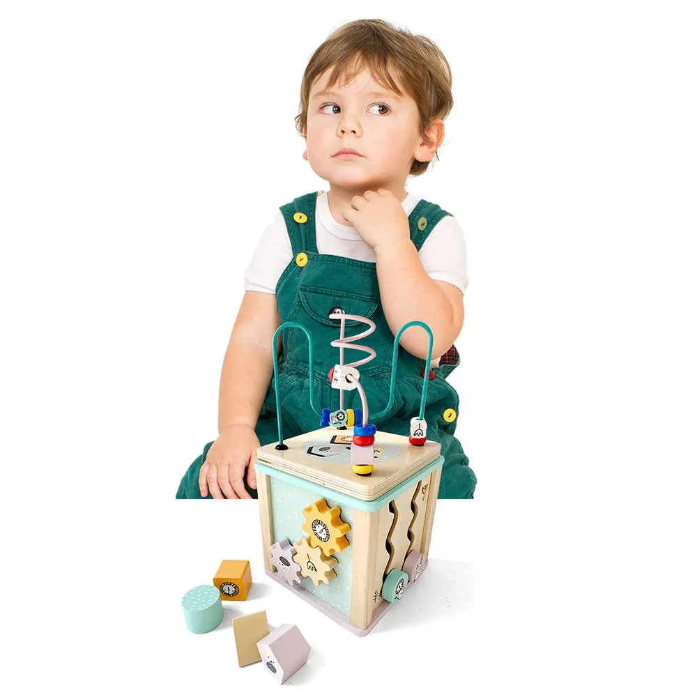 LEO & FRIENDS Wooden Activity Toy for 1, 2 Year-Old-Girls