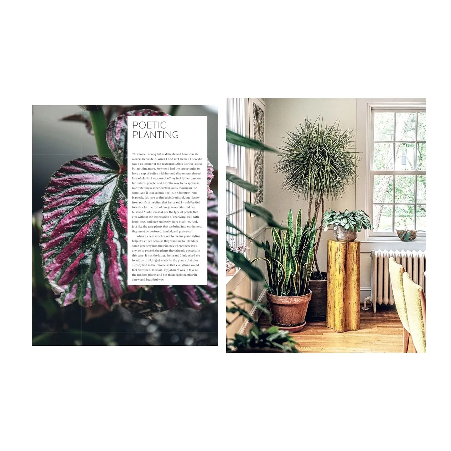 Living Wild: How to plant style your home