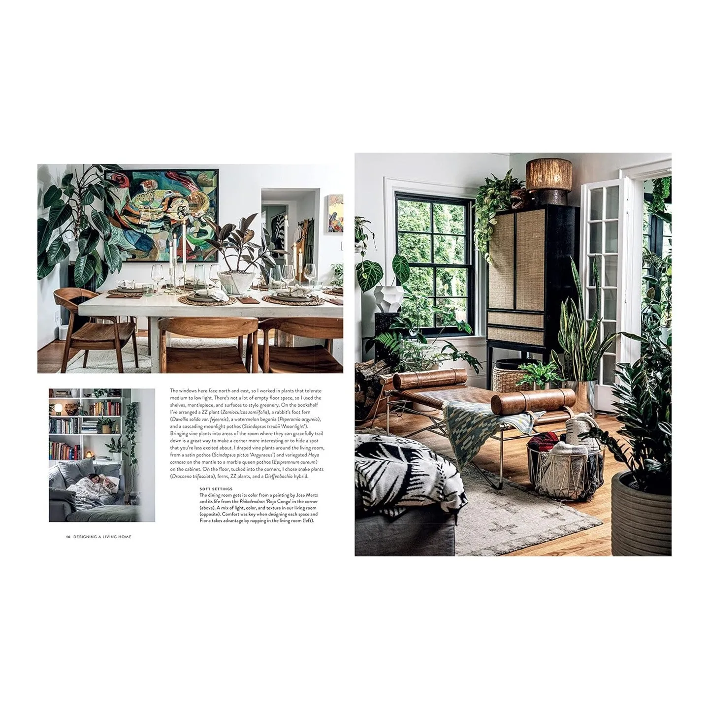 Living Wild: How to plant style your home