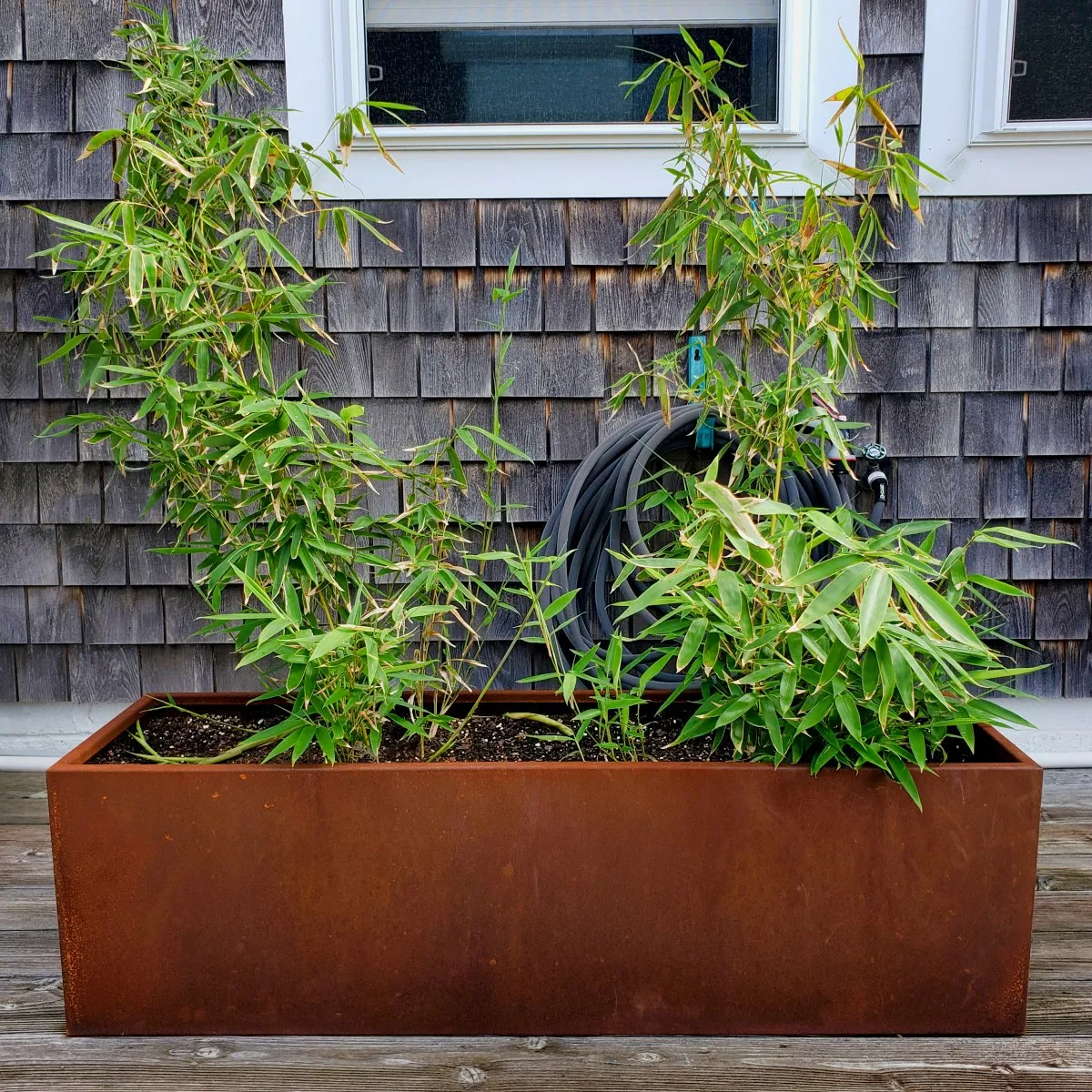 Modern Steel Planter Box