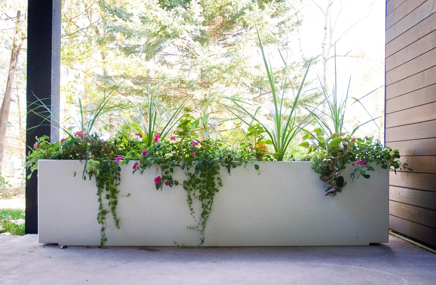 Mondo Quint Planter (60 Gallon)