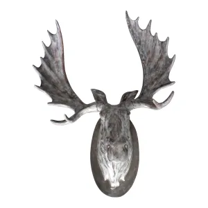 Moosehead Wall Décor