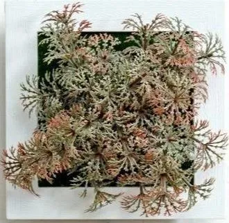 Paityn - Artificial Plant 3D Box Planter