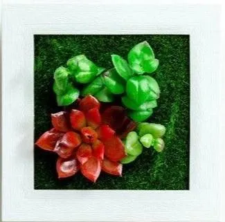 Paityn - Artificial Plant 3D Box Planter