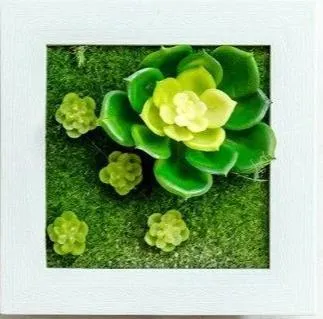 Paityn - Artificial Plant 3D Box Planter