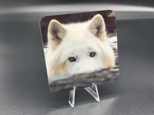 Peek Photographic Coaster